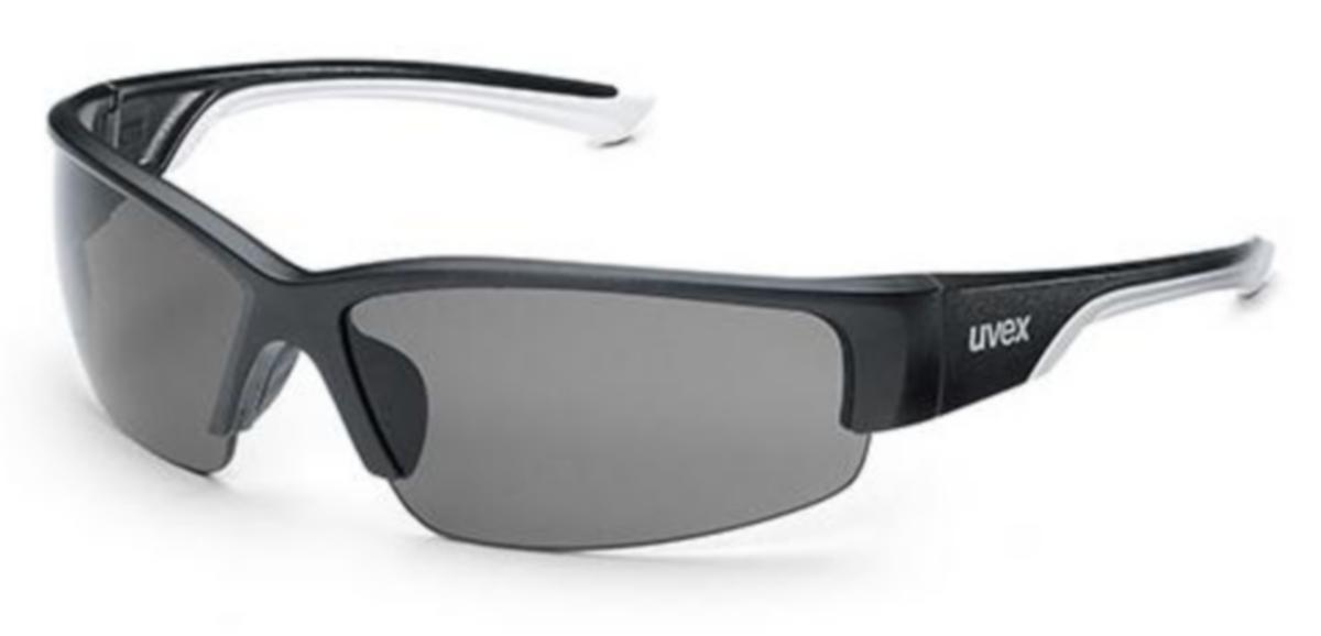 Skyddsglasögon UVEX Polavision 9231 - SKYDDSGLAS.UVEX POLAVISON 9231.960
